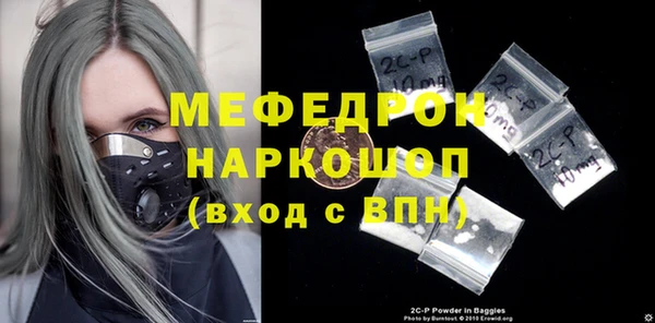 индика Надым