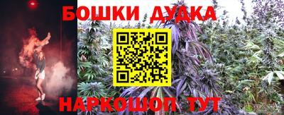 mdpv Краснознаменск