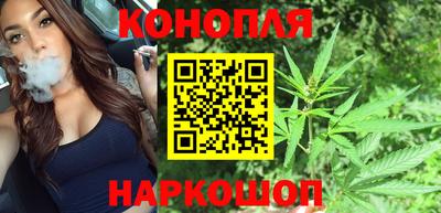 mdpv Краснознаменск