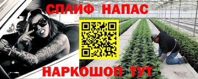 mdpv Краснознаменск