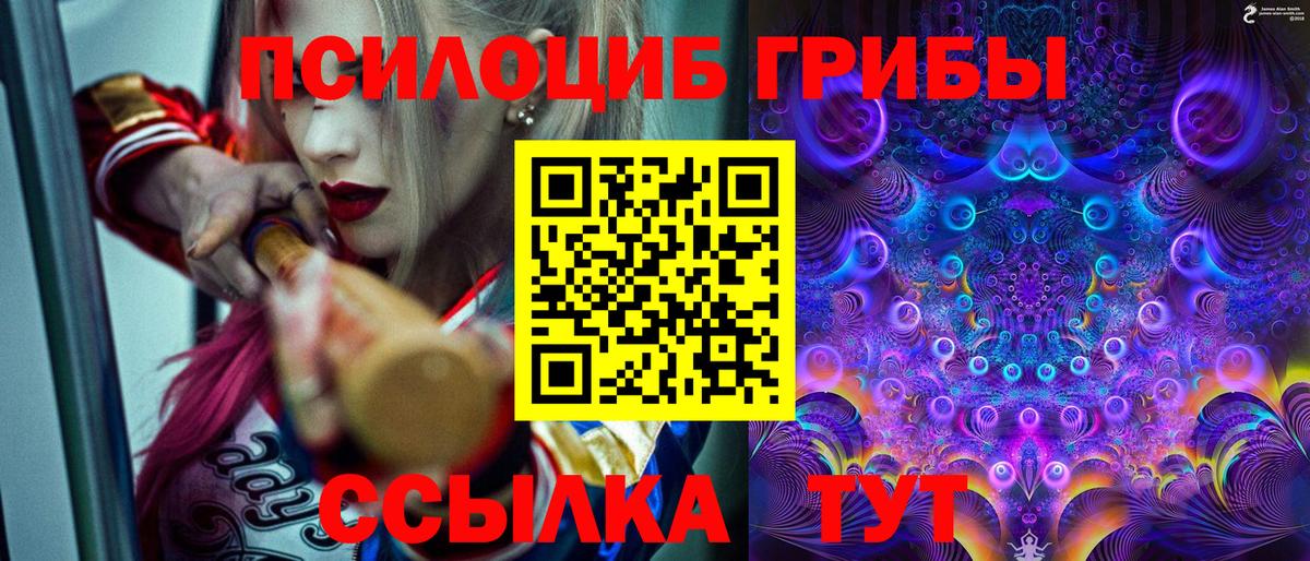 Псилоцибиновые грибы GOLDEN TEACHER Шуя