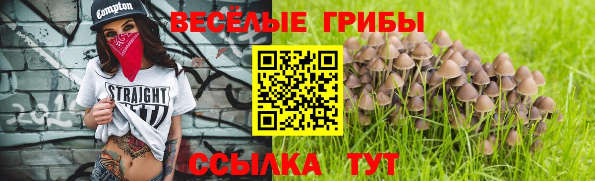 как найти закладки  Псилоцибиновые грибы Magic Shrooms  Вход с VPN  Шуя 