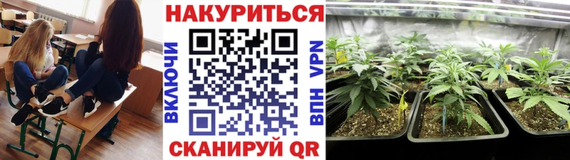купить наркотик Шуя Конопля индика